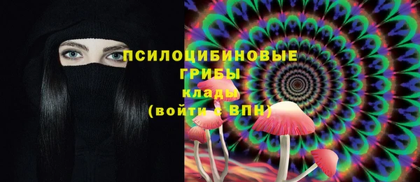 спайс Абинск