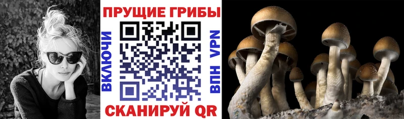 Псилоцибиновые грибы GOLDEN TEACHER наркошоп mega онион Монино